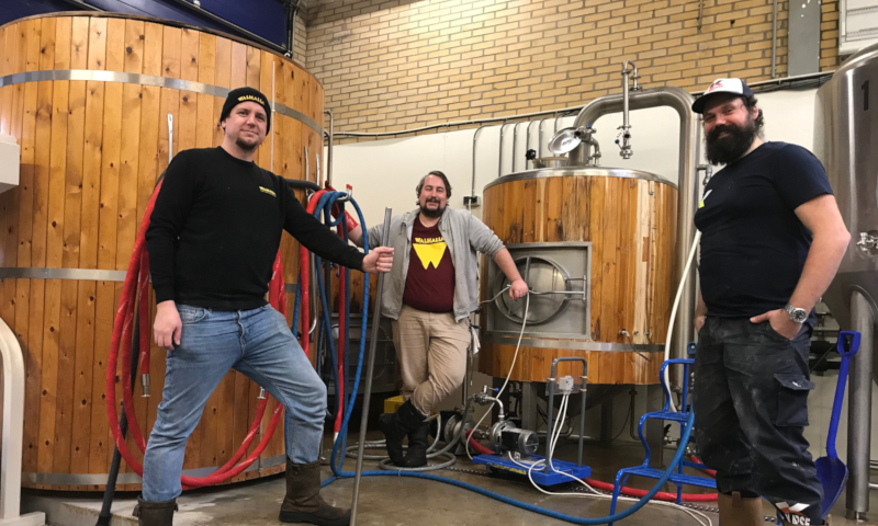 Drie brouwers tijdens de Walhalla brouwdag van beer geeks beat als 2021